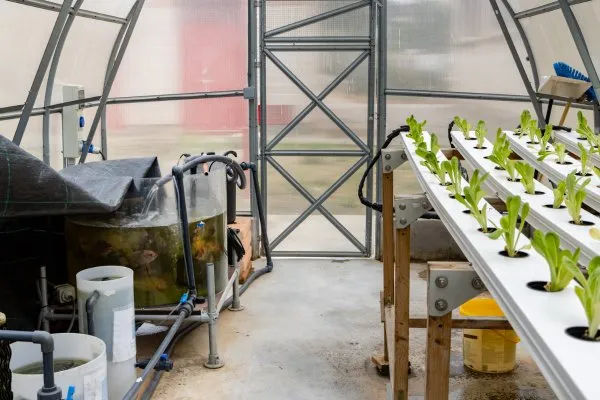 What is Aquaponics